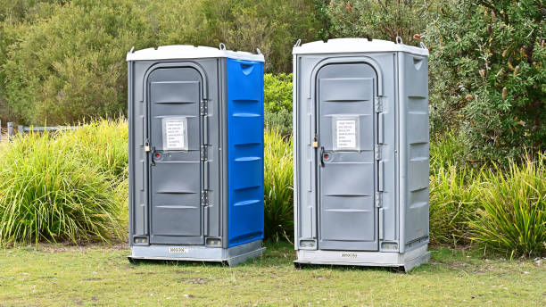 Best Portable Toilets with Baby Changing Stations  in Roswell, NM
